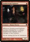 Product image for Somberwald Vigilante