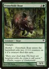 Product image for Festerhide Boar