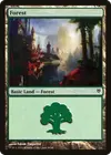 Product image for Forest