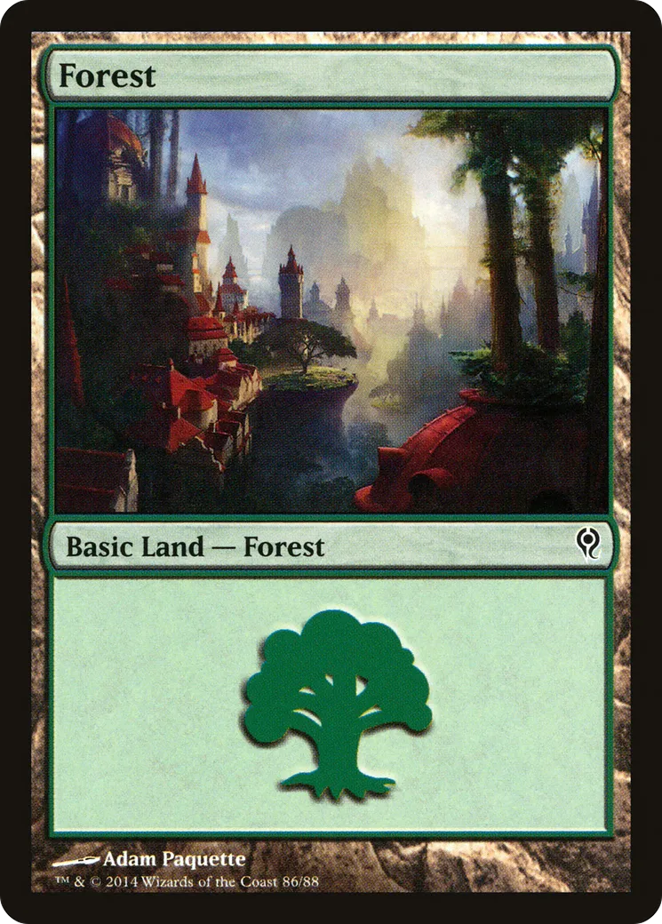 Forest — Duel Decks: Jace vs. Vraska — Magic: The Gathering