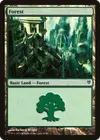 Product image for Forest