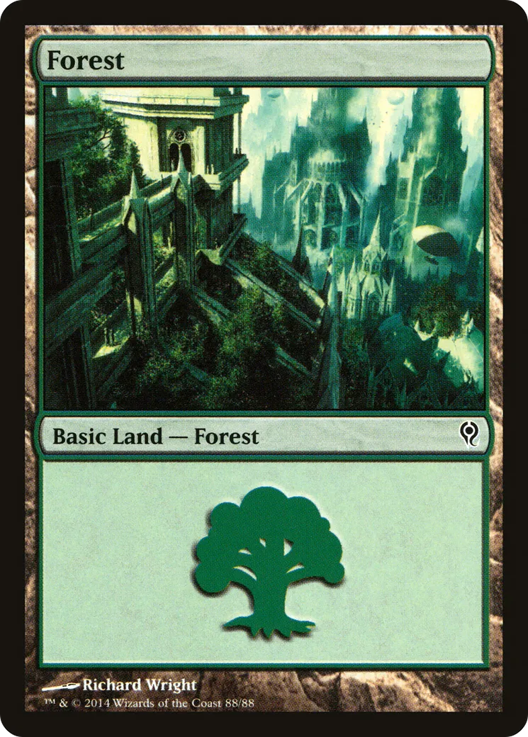 Forest — Duel Decks: Jace vs. Vraska — Magic: The Gathering