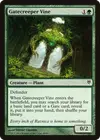 Product image for Gatecreeper Vine