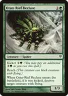 Product image for Oran-Rief Recluse