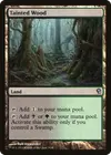 Product image for Tainted Wood