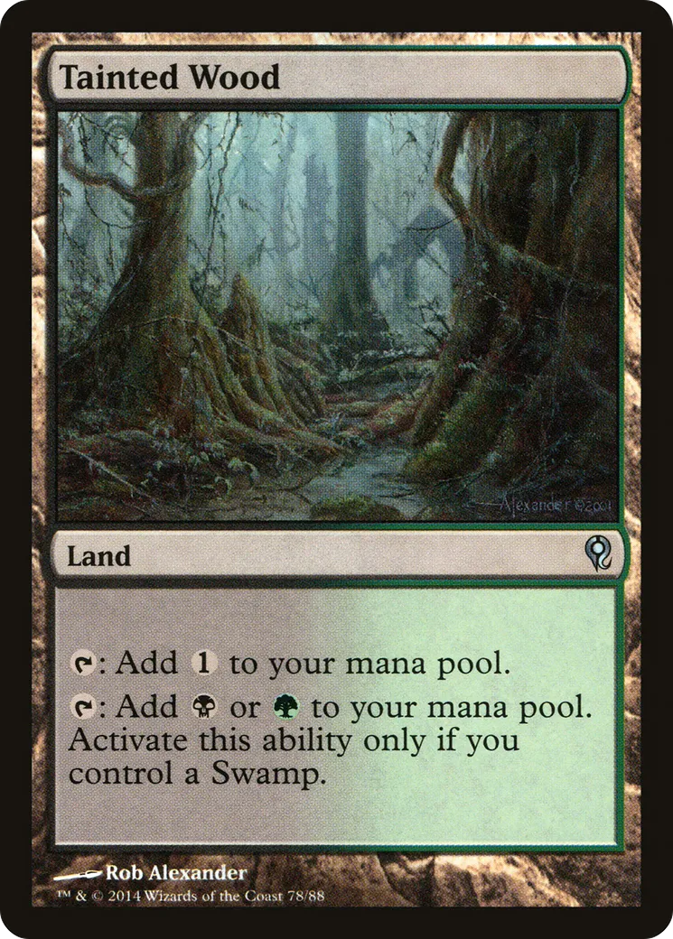 Tainted Wood from Duel Decks: Jace vs. Vraska - Magic: The Gathering