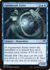 Product image for Entité aquamorphe