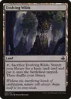 Product image for Evolving Wilds