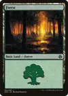 Product image for Forest
