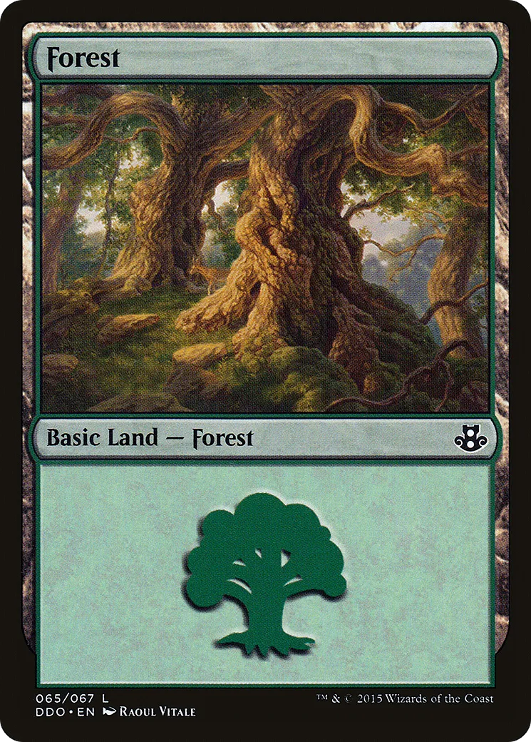 Forest — Duel Decks: Elspeth vs. Kiora — Magic: The Gathering