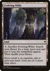 Product image for Evolving Wilds