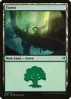 Product image for Forest