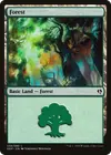 Product image for Forest