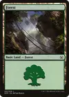 Product image for Forest