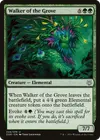 Product image for Walker of the Grove
