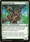 Product image for Ambassador Oak