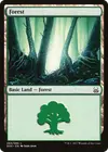Product image for Forest