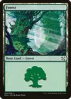 Product image for Forest