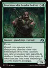 Product image for Invocateur des Druides du Croc