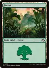 Product image for Forest