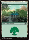 Product image for Forest