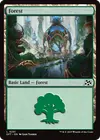Product image for Forest