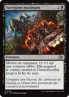 Product image for Surrégime maximum