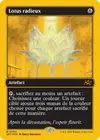 Product image for Lotus radieux