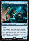 Product image for Voleforme cireux