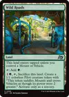 Product image for Wild Roads