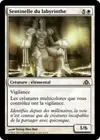 Product image for Sentinelle du labyrinthe
