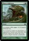 Product image for Phyto-explosion
