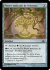 Product image for Pierre indiciale de Selesnya