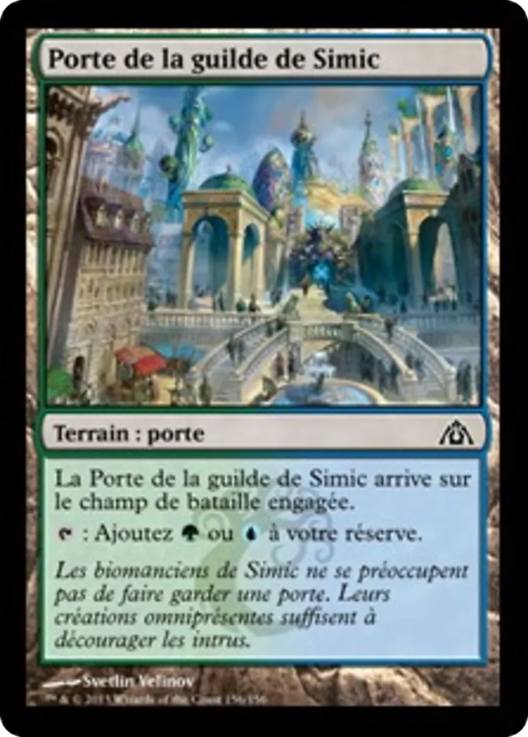 Porte de la guilde de Simic from Dragon's Maze - Magic: The Gathering