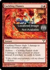 Product image for Flammes caquetantes