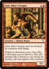 Product image for Gnat Alley Creeper