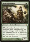 Product image for Loaming Shaman