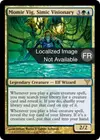 Product image for Momir Vig, visionnaire simic