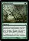 Product image for Brumes tenaces