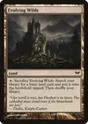 Product image for Evolving Wilds