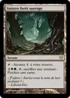 Product image for Sinistre forêt sauvage
