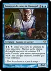 Product image for Entraveur de runes de Havengul