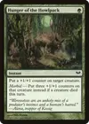 Product image for Hunger of the Howlpack