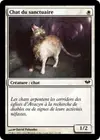 Product image for Chat du sanctuaire