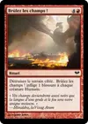 Product image for Brûlez les champs !