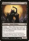 Product image for Wakedancer