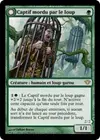 Product image for Captif mordu par le loup // Tueur Krallenhorde