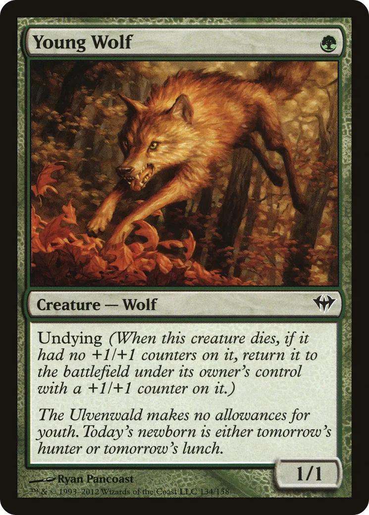 Young Wolf — Dark Ascension — Magic: The Gathering