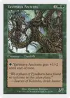 Product image for Yavimaya Ancients