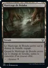 Product image for Marécage de Bojuka